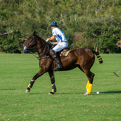 Polo Costalegre